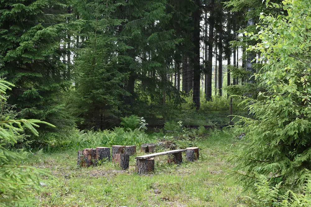 Koirametsän alueella on istumapaikkoja