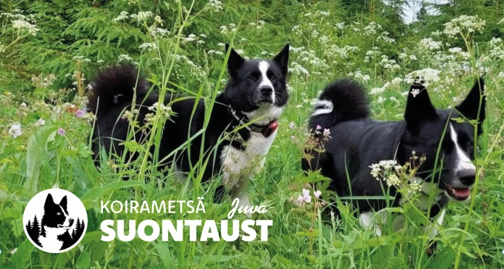 Koirametsän varaus- ja peruutusehdot